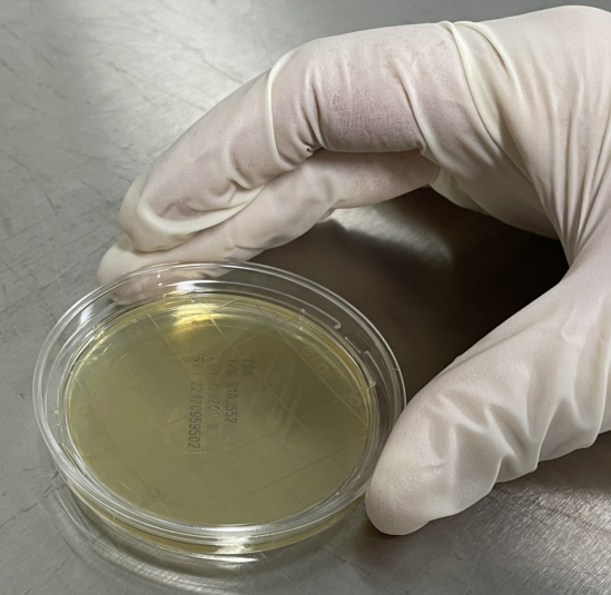 嬰配乳粉生產(chǎn)企業(yè)環(huán)境微生物監(jiān)測(cè)（一）——表面微生物采樣