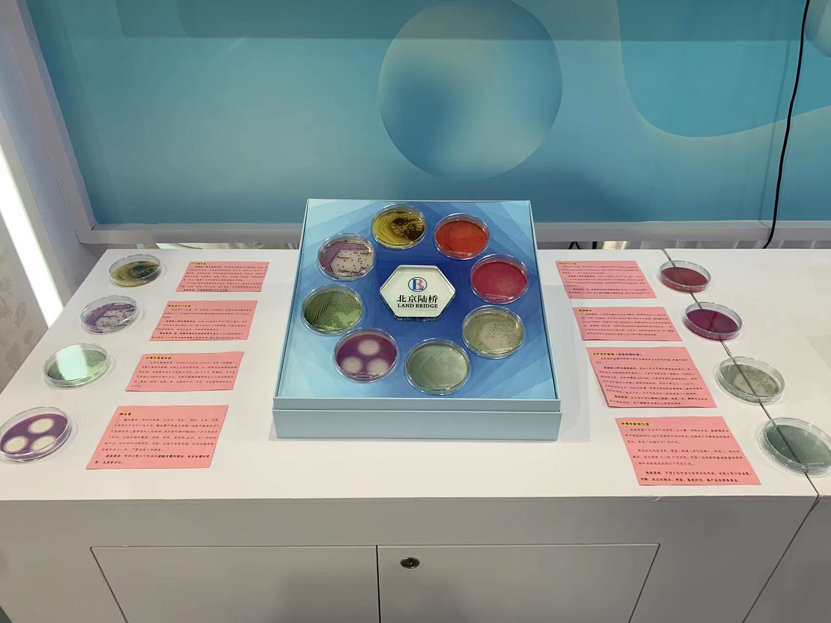 北京陸橋與您相約全國(guó)科普日 助力國(guó)家科技，守護(hù)“舌尖上的安全”