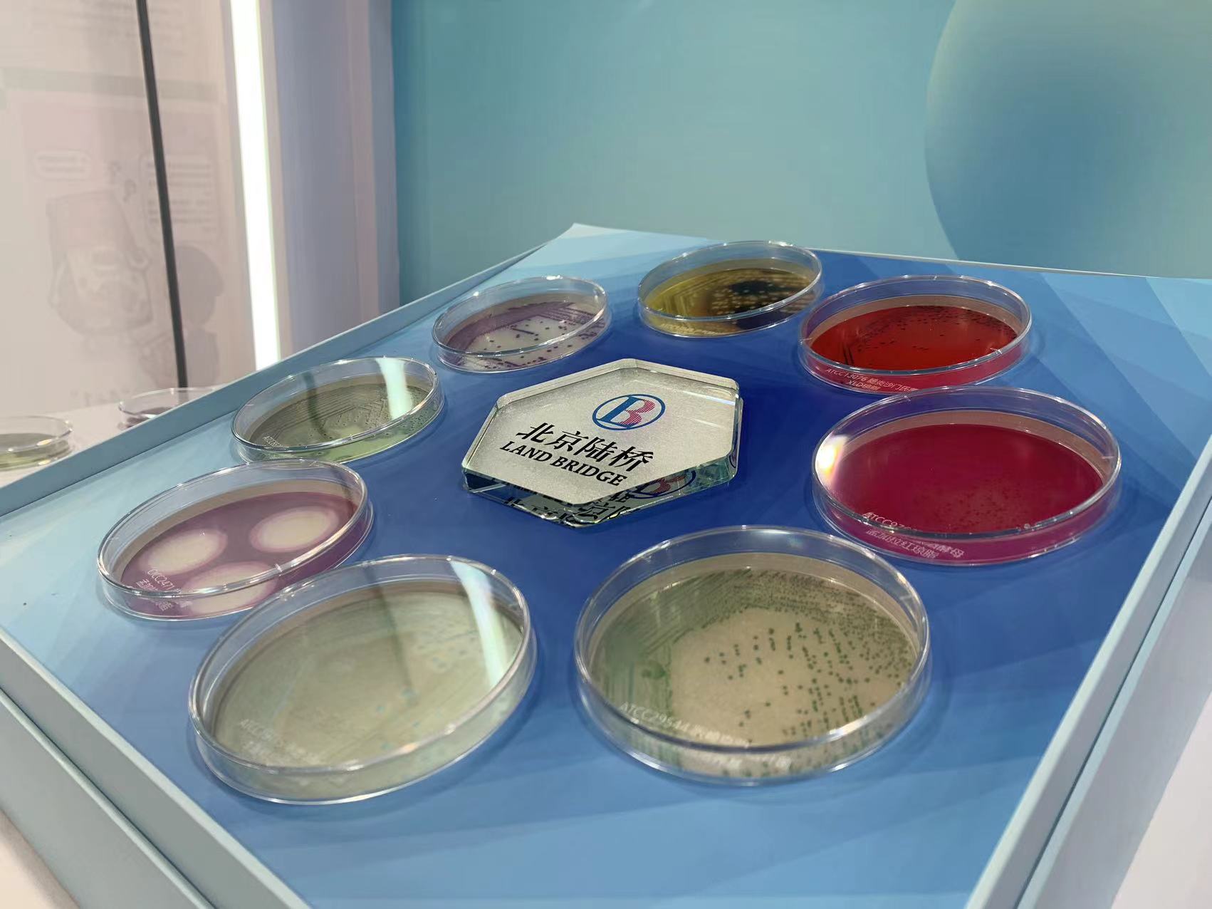 北京陸橋與您相約全國(guó)科普日 助力國(guó)家科技，守護(hù)“舌尖上的安全”