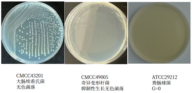 沙門檢測新助手—沙門氏+顯色培養(yǎng)基