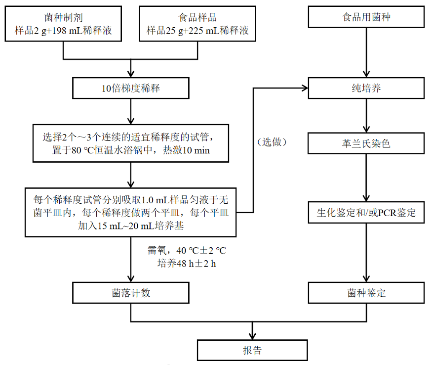 乳酸菌檢驗(yàn)新角色——片球菌屬與魏茨曼氏菌屬