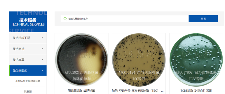 【技術(shù)干貨匯總】2025年度常見技術(shù)問題大盤點(diǎn)