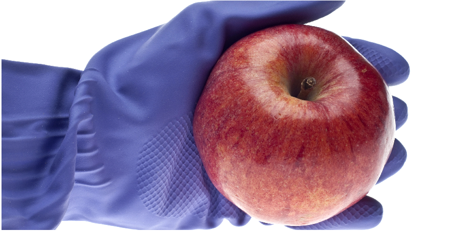 北京陸橋邀您參加2024 食品安全與檢測技術(shù)創(chuàng)新論壇，共同探討GB4789.28-2024