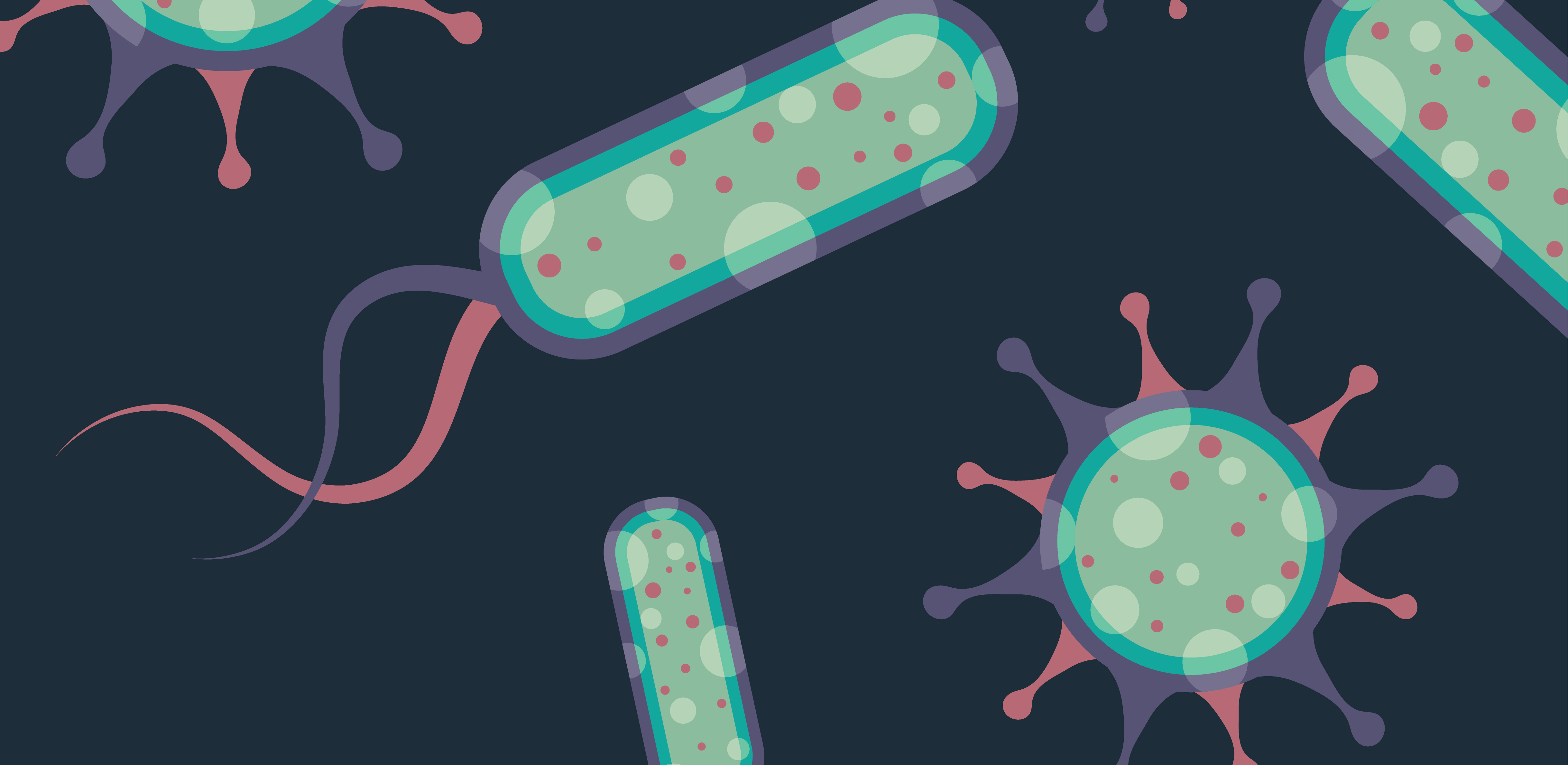 誰是芽胞桿菌中的“運(yùn)動(dòng)健將”？