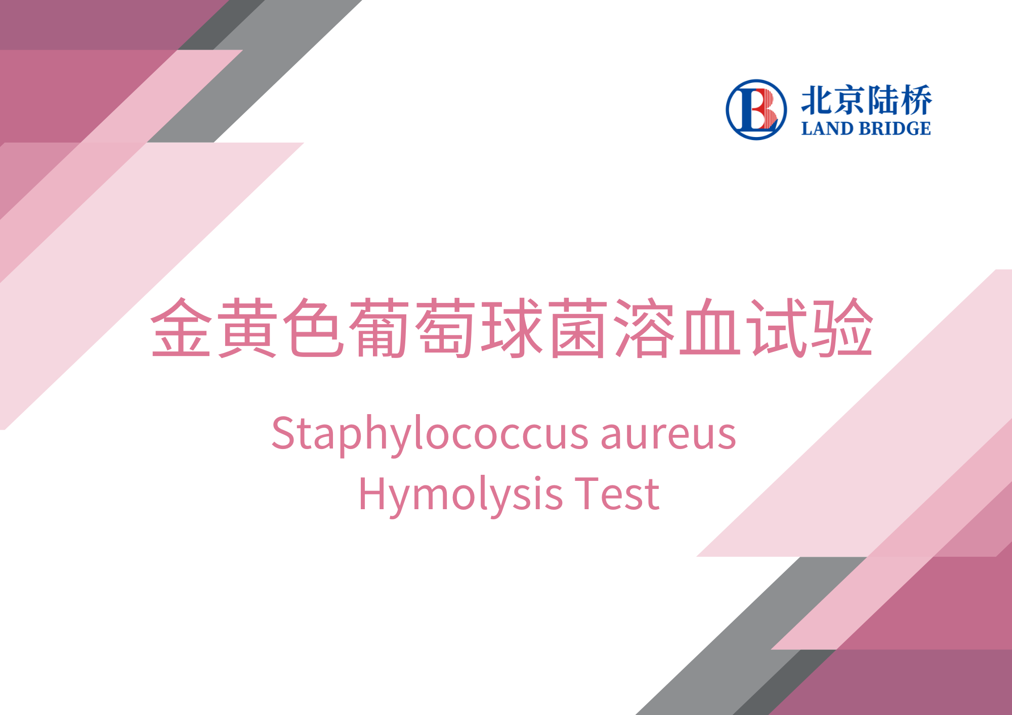金黃色葡萄球菌溶血試驗(yàn)