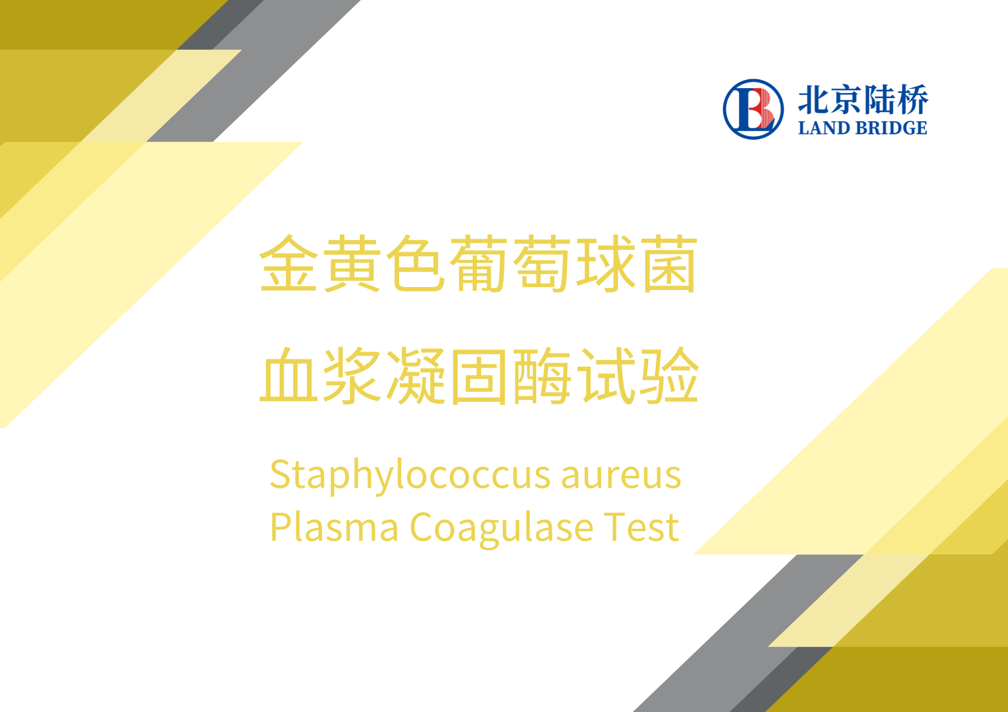 金黃色葡萄球菌血漿凝固酶試驗(yàn)